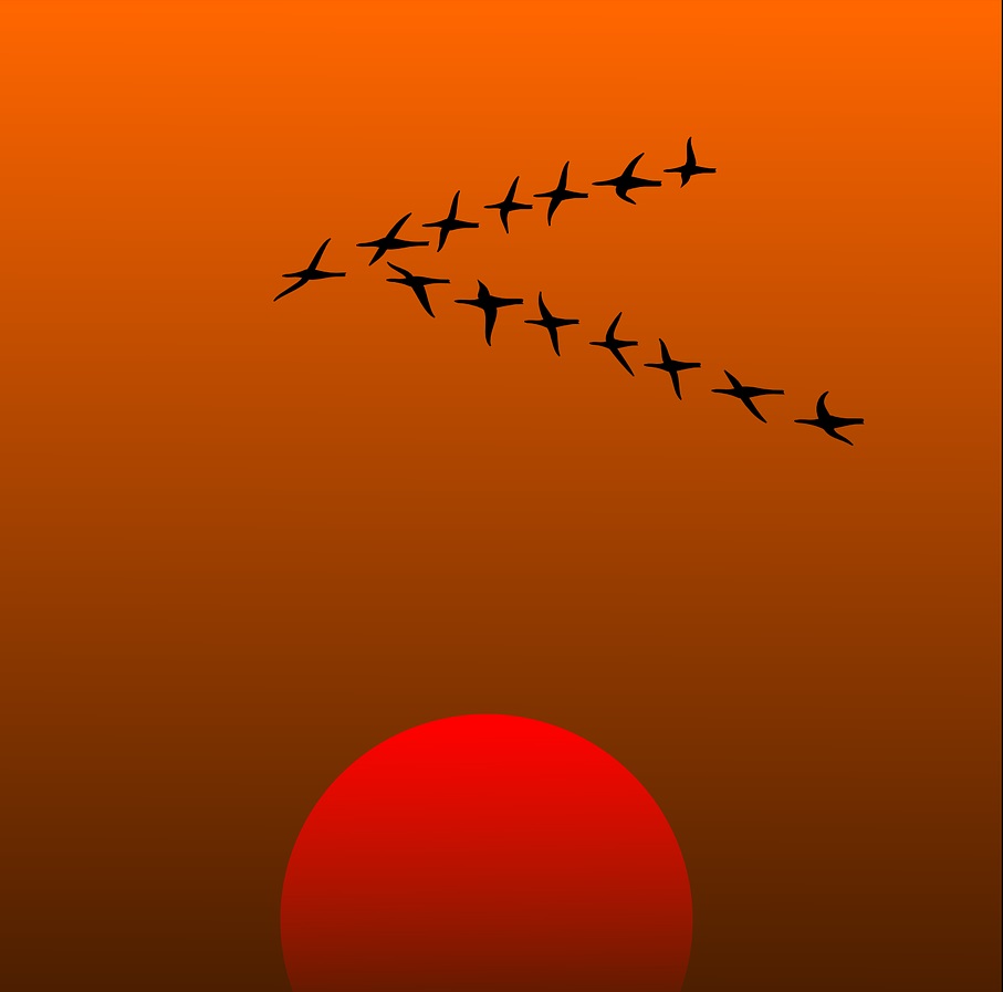 Overcome Obstacles to Change Overcoming Obstacles to Change